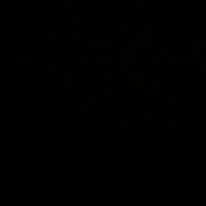 Meet your Posher, Ethan